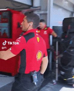 \*the\* ferrari mechanic